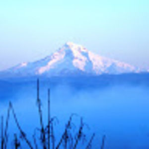 Meet your Posher, Cathy